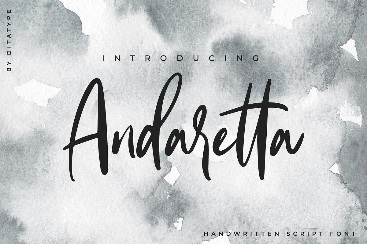 Andaretta, a Script Font by Ditatype (Photo 1 of 7)