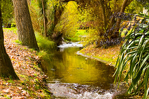 Autumn Stream, a Nature Photo by THP Creative