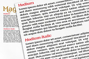 Cerberus - Serif font family, a Serif Font by Artistic & Unique (Thumbnail 15 of 15)