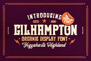 Gilhampton - Organic Typeface, a Sans Serif Font by Rillatype (Thumbnail 1 of 8)