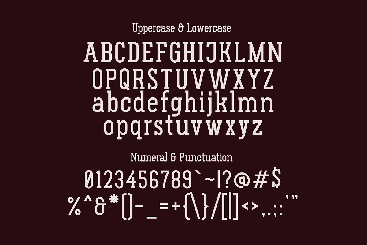 Gluttoner Vintage & Bold Slab Serif, a Serif Font by Lettertype Studio (Photo 12 of 15)