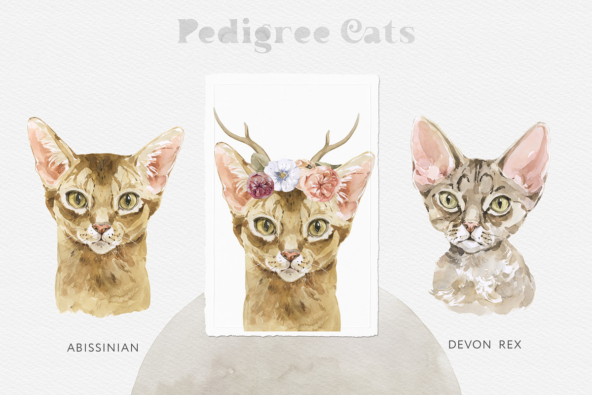 Animals Watercolor Clipart Bundle, an Animal Illustration by Cat In Colour (Photo 12 of 41)