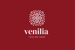 Venillia - Beauty Logo Template, a Branding & Logo Template by Dqa