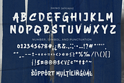 Jhino - An Allcaps Brush Font, a Handwritten Font by Ainun Jinan (Thumbnail 11 of 11)