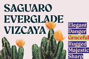 Aeda Rift, a Serif Font by ZP Fonts™ (Thumbnail 4 of 12)