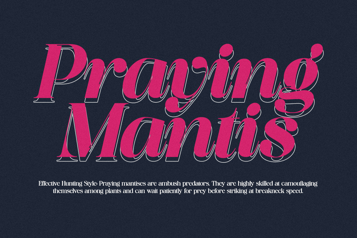 Saficel | With 18 Font, a Serif Font by Pista Mova (Photo 11 of 12)