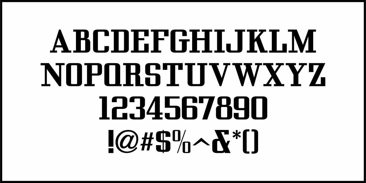 People Talk JNL, a Serif Font by Jeff Levine Fonts (Photo 3 of 5)