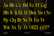 VERONA - Vintage Classic Serif, a Serif Font by The_Type (Thumbnail 4 of 12)