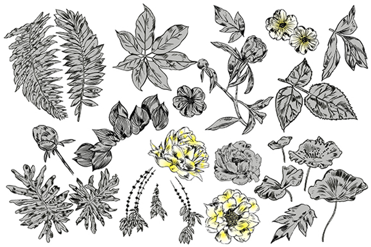 TROPIC set 2, a Decorative Illustration by Tanya Akhmett (Photo 3 of 10)
