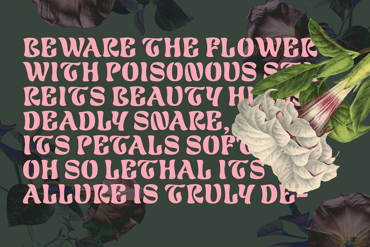Datura —Fantasy Retro Brush, a Sans Serif Font by Pedroglifos (Photo 5 of 12)