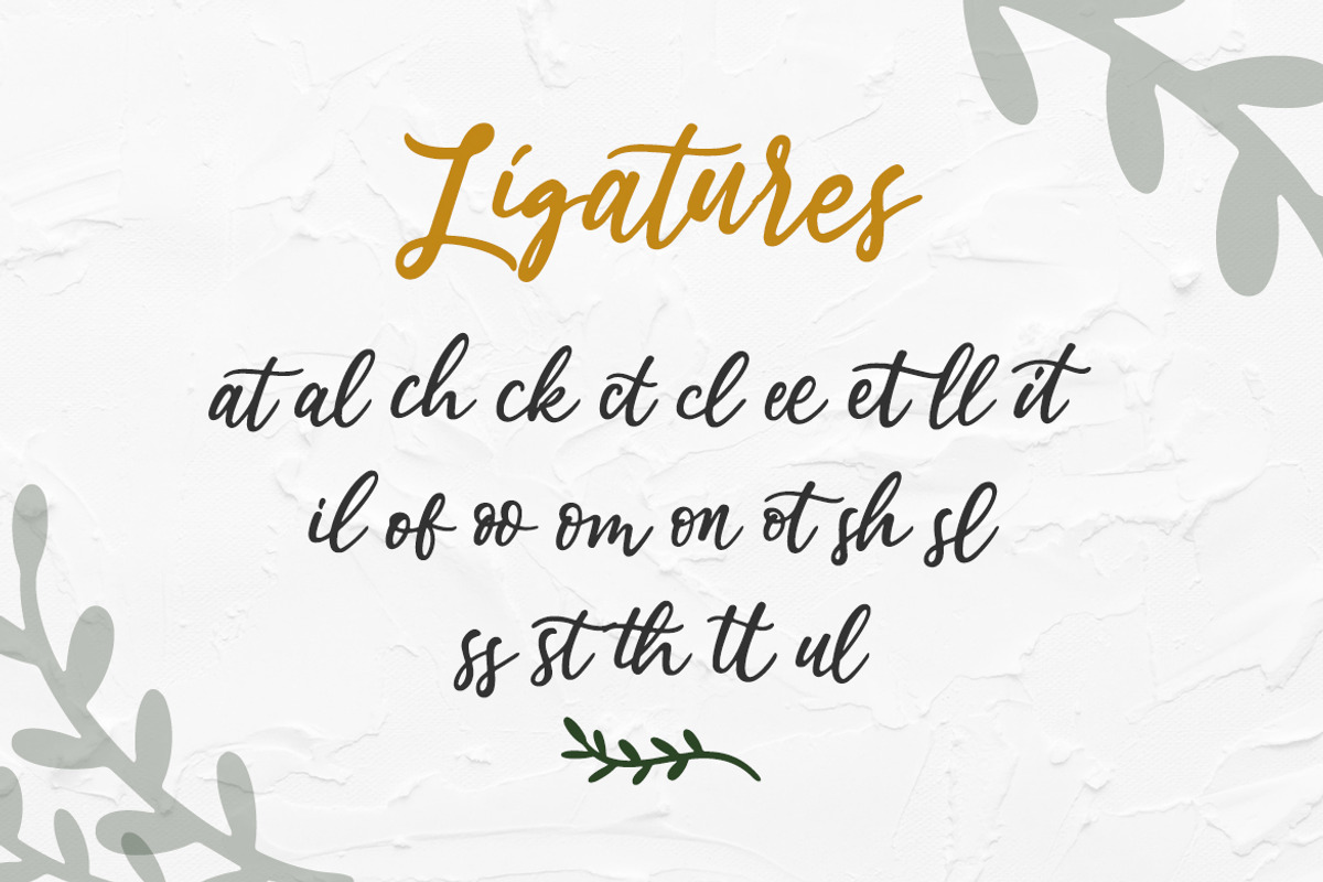 Estylle Madison Business Font, a Script Font by Creatype Studio (Photo 13 of 16)