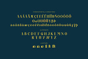 Auronix, a Serif Font by Rishsketch (Thumbnail 13 of 15)