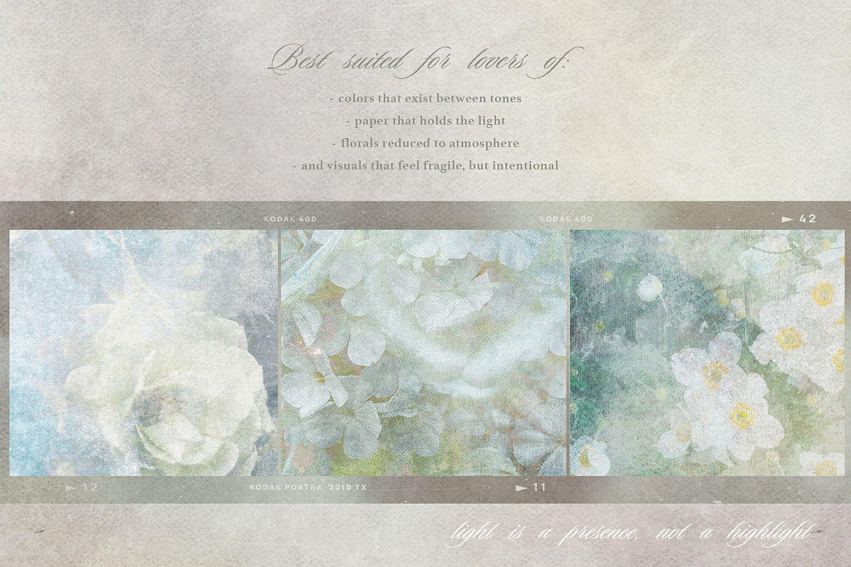 Flora Ether Botanical Backgrounds, a Background Graphic by alonahaidash (Photo 5 of 16)