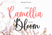 Antonella - Wedding Font, a Handwritten Font by Mozatype (Thumbnail 9 of 10)