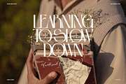 Bostaire Luxury Sans Serif Font, a Sans Serif Font by Heinzel Std (Thumbnail 2 of 15)