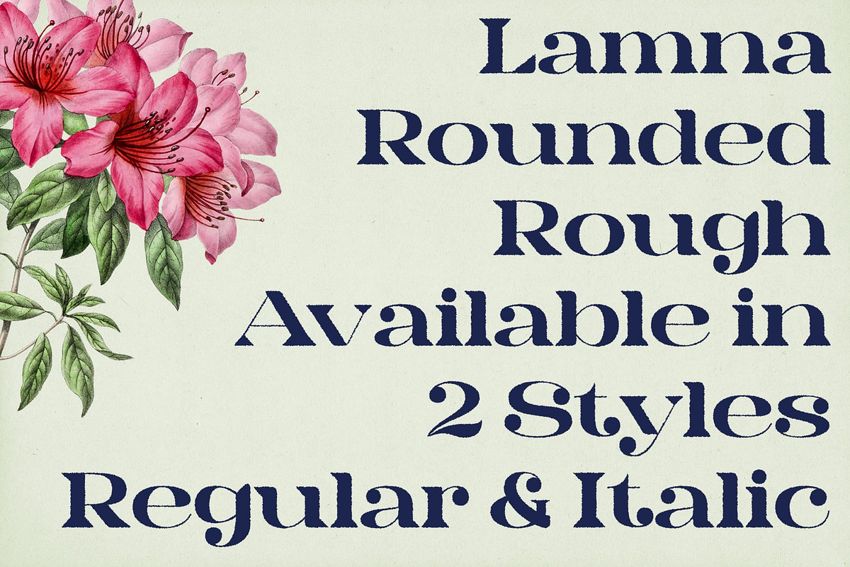 Lamna Rounded Rough, a Serif Font by Craft Supply Co. (Photo 5 of 8)
