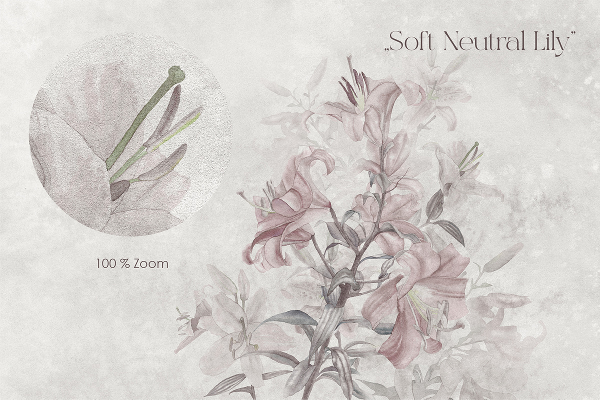Timeless Lily wall mural set, a Wallpaper Graphic by Timofi Art (Photo 11 of 13)