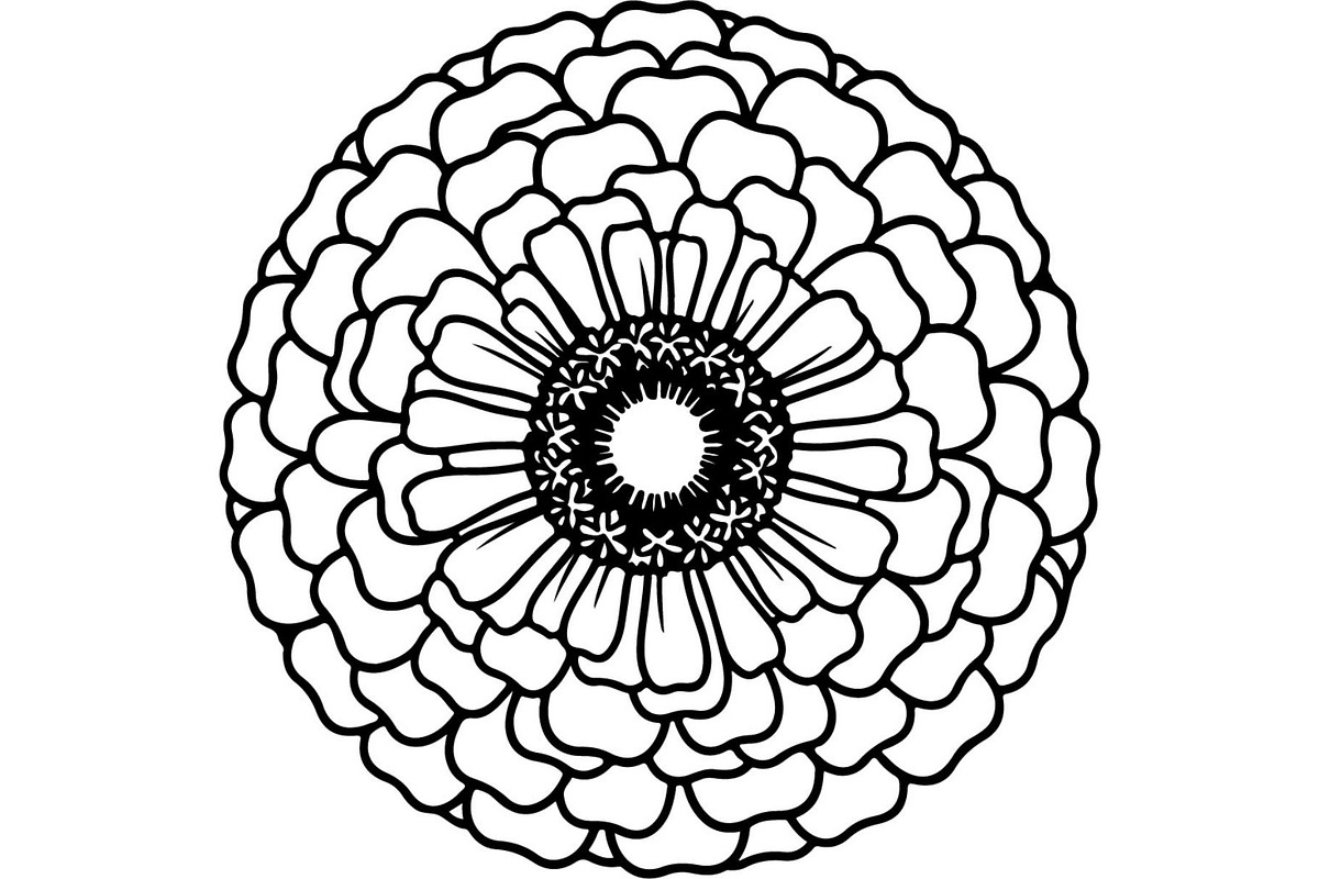 Vintage Botanical Flower Vector Set, an Object Illustration by Designer_Momina (Photo 17 of 26)