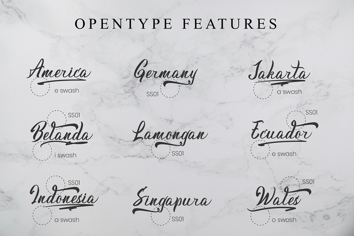 Dilovany a Modern Calligraphy Font, a Script Font by Javatype Studio (Photo 8 of 10)