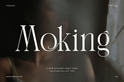 Moking Elegant Serif Font, a Serif Font by Elegant Font (Thumbnail 1 of 8)