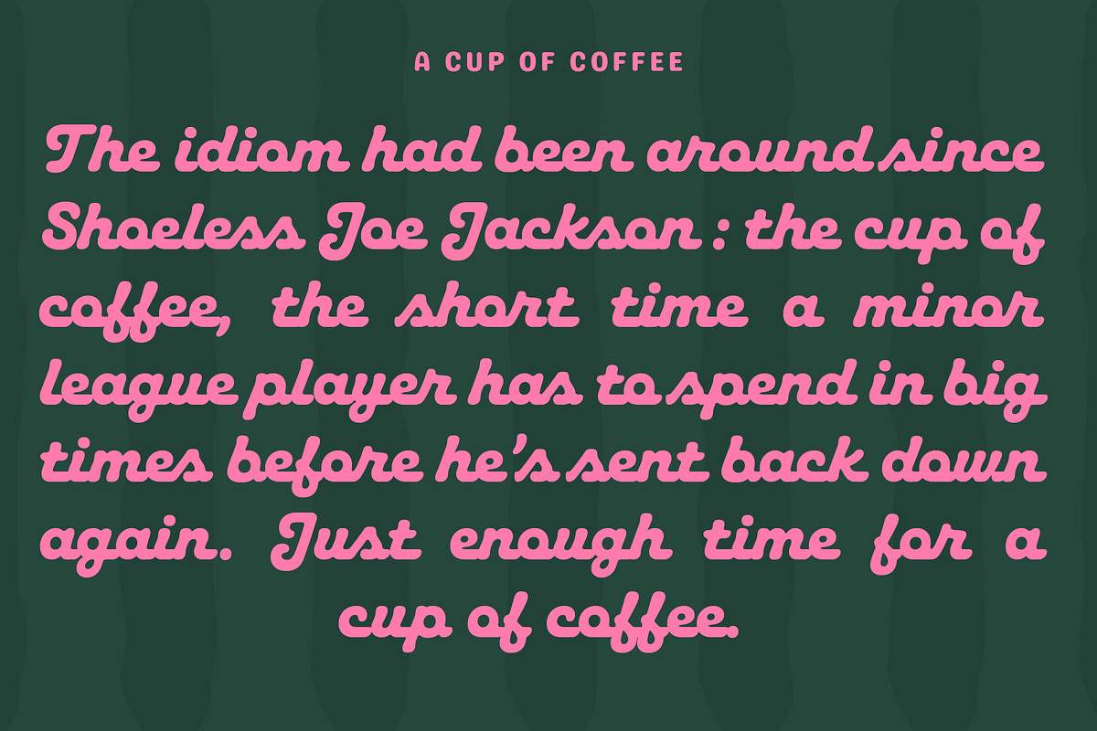 Roolie, a Script Font by Flavortype (Photo 5 of 15)