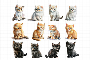 Cat PNG Clipart