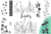 Wildherbs and flowers. Compositions., a Decorative Illustration by maritime_m (Thumbnail 6 of 12)