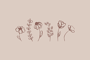 Minimalist Flowers Illustrations, an Illustration by naima.design (Thumbnail 1 of 6)
