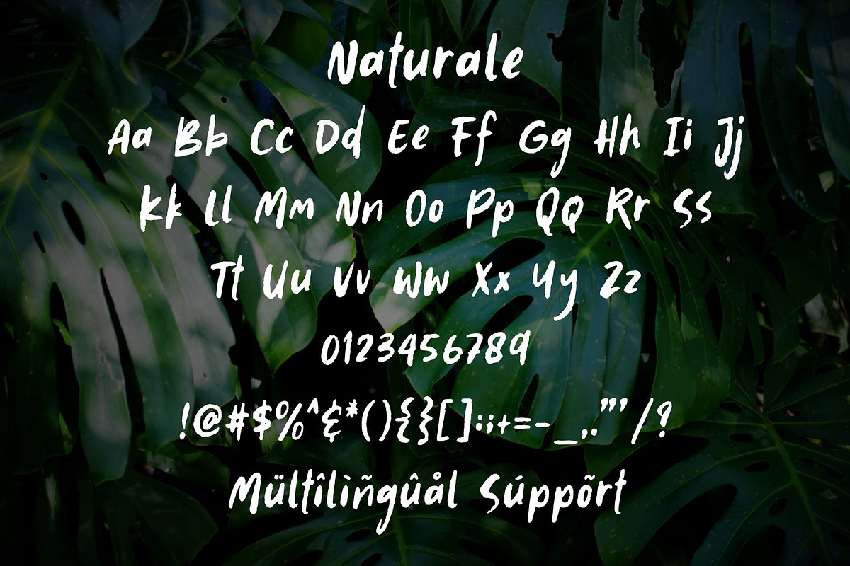 Naturale, a Font by Good Java Studio (Photo 10 of 10)