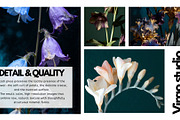 Botanical Fine Art Macro Collection, a Nature Photo by Virgo Studio (Thumbnail 4 of 6)