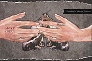 Vintage Cotton Photoshop Overlays, a Brush Add-On by Liquid Amethyst Art (Thumbnail 3 of 7)