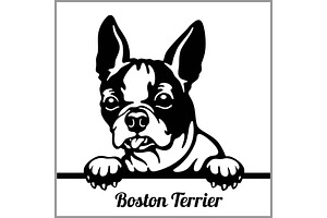 Boston Terrier - Peeking Dogs - -, an Animal Illustration by Digital-Clipart