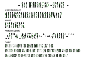 THE MINIMALIST - Skinny Tall Font