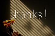 Misty Morning, a Serif Font by Funtype (Thumbnail 15 of 15)