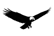 50 Flying Eagle Silhouette Vector Bu, an Illustration by Designs_River (Thumbnail 44 of 51)