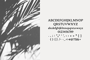 Ashford Serif Font, a Serif Font by gafaroff studio (Thumbnail 7 of 7)