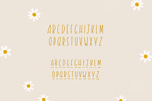 Sunflower - Skinny Sans Serif Font