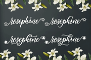 Rosalyna Script, a Script Font by Meutuwah (Thumbnail 5 of 5)