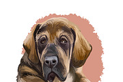Mastiffs and Pugs 34 PSD Dogs Set, an Animal Illustration by Dneprstock (Thumbnail 5 of 15)