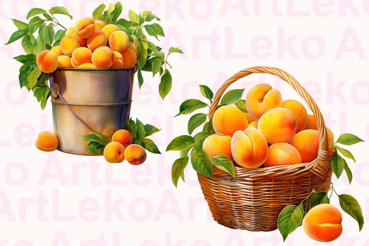 Apricots Watercolor Clipart, a Food Illustration by LekoArt (Photo 7 of 10)
