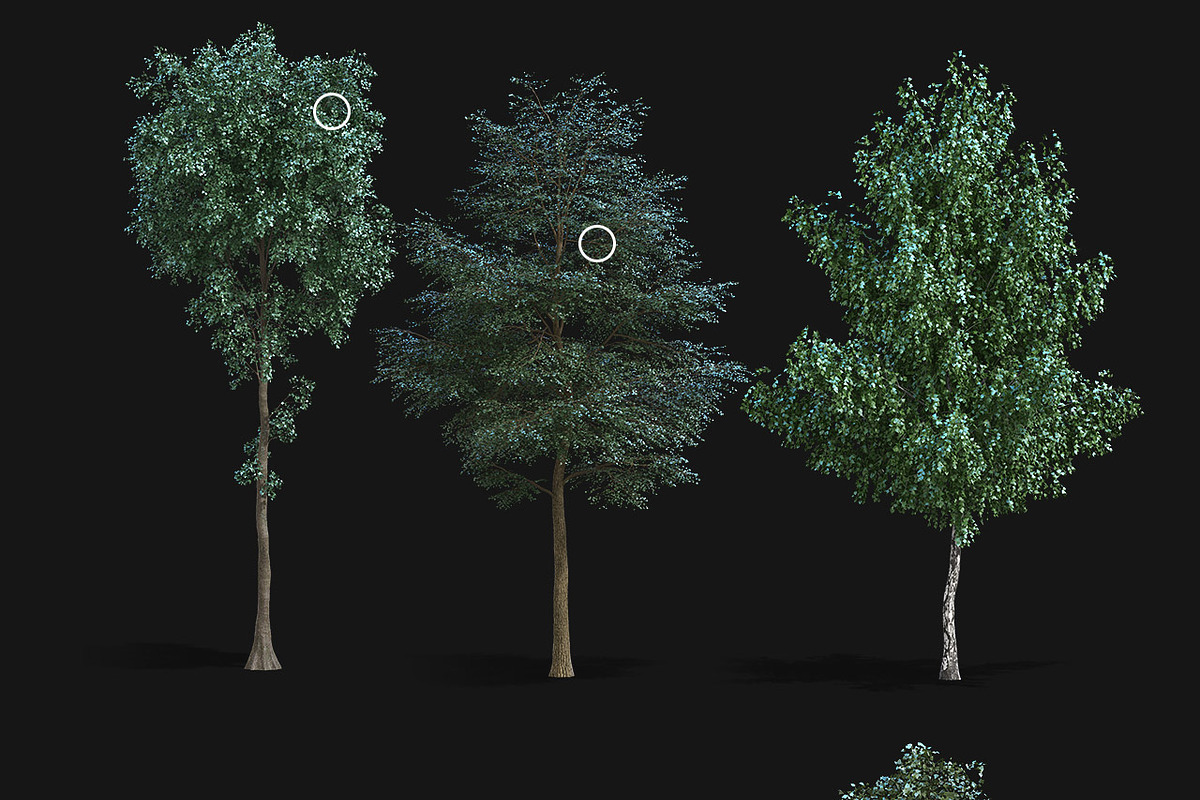 Artistic Nature Mockup #01, a Product Mockup by ARKS ACADEMY (Photo 7 of 11)