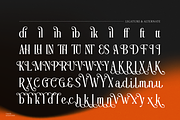 Elynior Katalis Display Elegant Font, a Serif Font by Denustudios (Thumbnail 14 of 15)