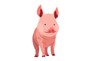 Pig set flat cartoon isolated on, an Animal Illustration by the8monkey