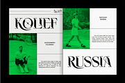 ELGISTA, a Serif Font by Bagerich Type Foundry (Thumbnail 9 of 13)