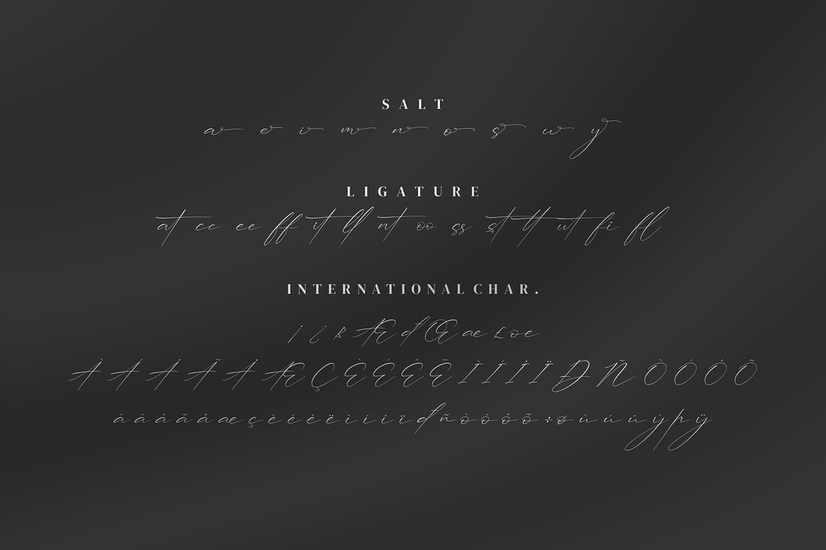 Trescilla Corinne, a Handwritten Font by Integritype Studio (Photo 7 of 8)