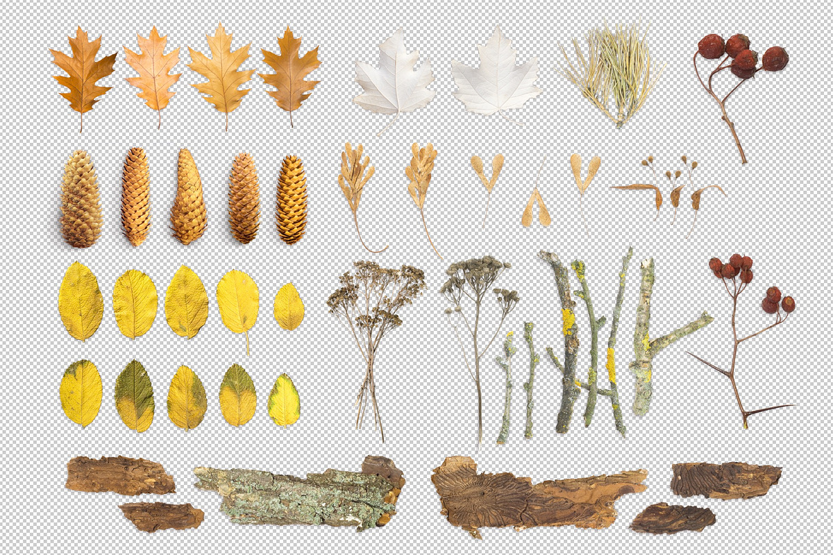 Autumn Floral Mockup Objects, an Object Graphic by uncle-rico (Photo 2 of 13)