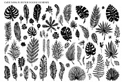 exotic tropical palm leaves, an Illustration by coconut_forest (Thumbnail 3 of 5)
