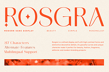 Rosgra | Modern Sans Display Font