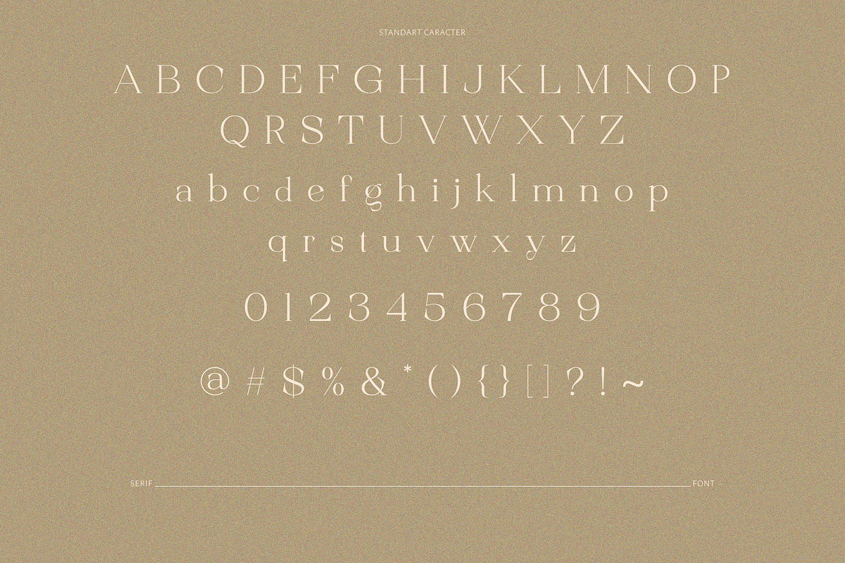 Rostedik – Modern Display Serif Font, a Serif Font by BrandSemut (Photo 7 of 8)