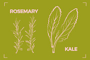 GREENS LINE ART SET (14 elements), a Food Illustration by Bonfloret Studio (Thumbnail 2 of 8)